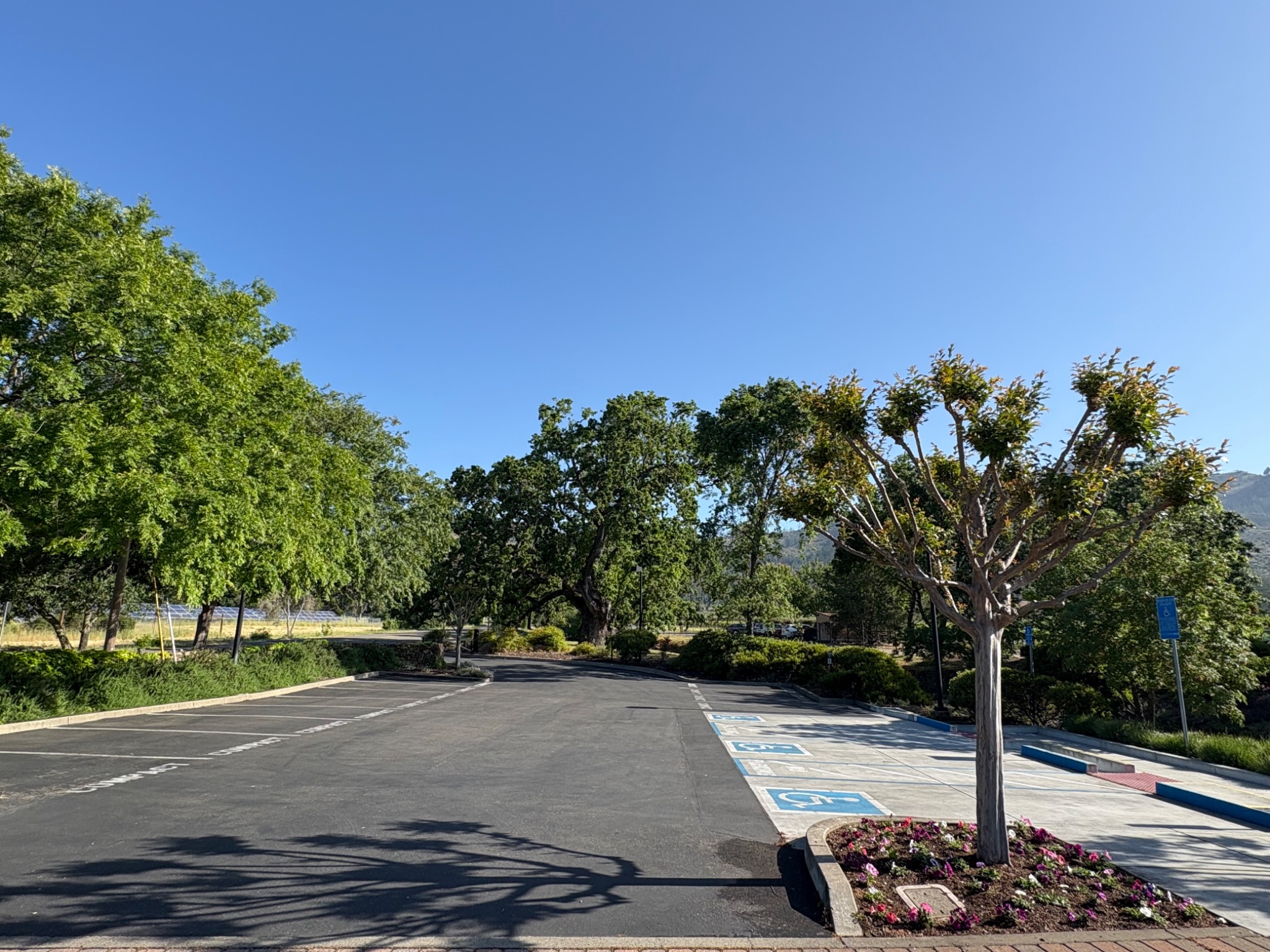 St. Francis Winery & Vineyards